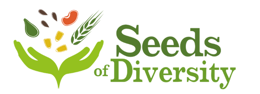 Seedy Saturday and Sunday Events 2020